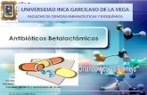 expo betalactamicos (2).pptx