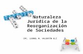 13° SEMANA NATURALEZA JURIDICA DE LA REORGANIZACION DE SOCIEDADES - copia (2)