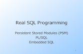 SQL Optimization and Tuning