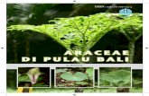 Araceae of Bali 1