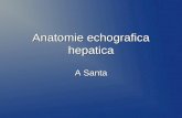 3 Anatomie echografica hepatica.ppt