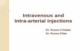 Intravenous and Intraarterial Injections