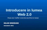 Introducere in Lumea Web2.0