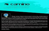 Camino Online Newsletter