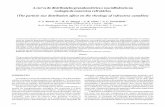 DocumentA curva de distribuição granulométrica e sua influência na reologia de concretos refratários