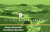 Buenaventura proyectos.pdf