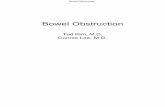 Bowel Obstruction Lee