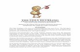 Ugly Duckling Study Guide