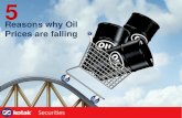 Reasons of crude prices falling