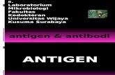 ANTIGEN Antibodi Complement-cp1