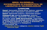 Genul Salmonella