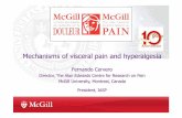 1330 Fernando Cervero - Mechanisms of Visceral Pain and Hyperalgesia