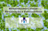 Metabolismo Celular- Fotossintese e Respiração