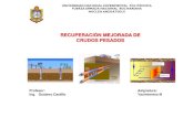 RECUPERACION MEJORADA DE CRUDOS PESADOS. yac. III..pdf