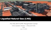 Design on Lng and Flng