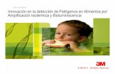 Innovación en La Detección de Patógenos en Alimentos Por Amplificación Isotérmica y Bioluminiscencia 19