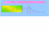 (3) Indifference Curve
