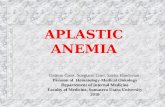 K11 - Aplastic Anemia Pada Dewasa
