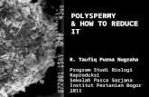 Polyspermy and how to reduce it