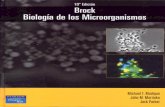 Brock (Microbiología) - Biología de Los Microorganismos - Madigan, Martinko y Parker - 10ed