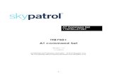 TT8750+AT001 - SkyPatrol AT Command Set - Rev 1_14