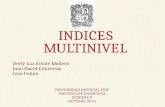 Indices Multinivel