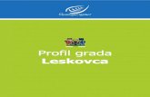 Profil Grada Leskovca