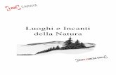 Luoghi e Incanti Della Natura alto Friuli
