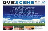 Dvb Scene, Issue No 40