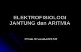 Elektrofisiologi Jantung Dan Aritmia