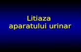 CURS 05-Litiaza Aparatului Urinar