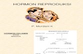HORMON Reproduksi