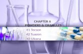 PHARDOSE REPORT- Powders and Granules