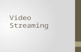 Website Penyedia Layanan Video Streaming