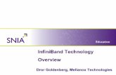 DrorGoldenberg InfiniBand Technology Overview