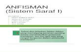 Anfisman (Sistem Saraf i)