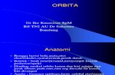 03a - Orbita, Palpebra, App Lacrimal