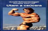 Arnold Schwarzenegger - Utam a Csúcsra