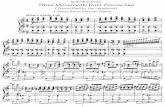 Stravinsky - Petrushka (piano)