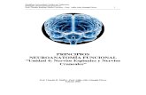 Neuroanatomis Nervios Espinales y Craneales