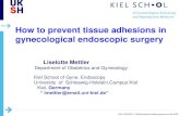 How to Prevent Tissue Adhesions in Gynaecological Endoscopic Surgery .pdf