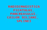 Radioimagistica Ficatului, Pancreasului, Cailor Biliare