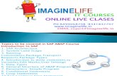 SAP ABAP Online Training - Imaginelife