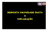 1115_RESPOSTA IMUNE INATA E INFLAMACAO.pdf