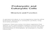 PROKARYOTIC AND EUKARYOTIC CELL