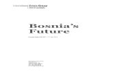 Bosnia Icg Future