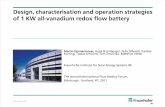 1 KW All-Vanadium Redox Flow Battery
