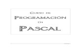 Programacion Pascal