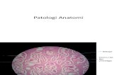 Praktikum-Patologi Anatomi