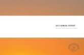 SCI Annual Report 2013